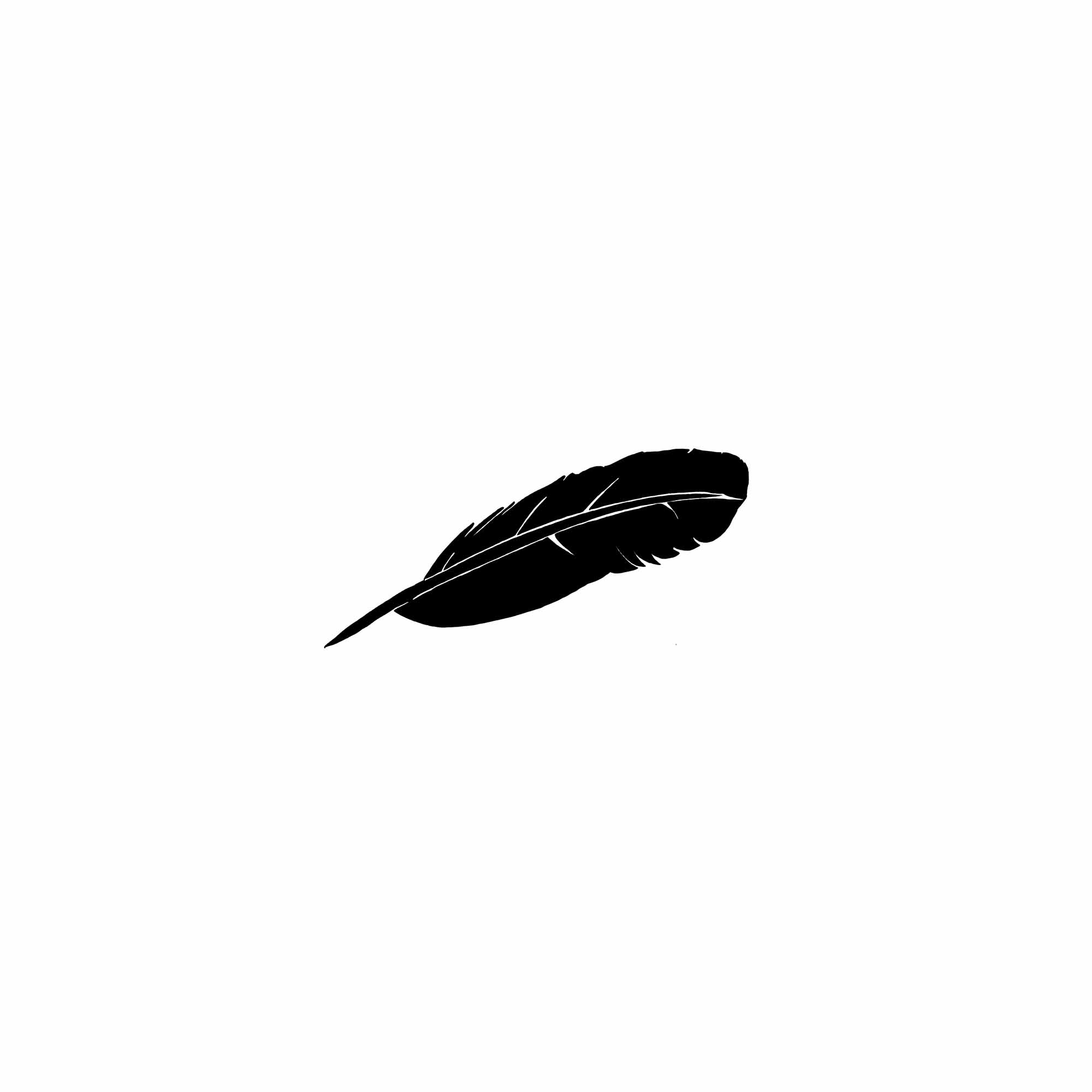 Dessin d'une plume noire